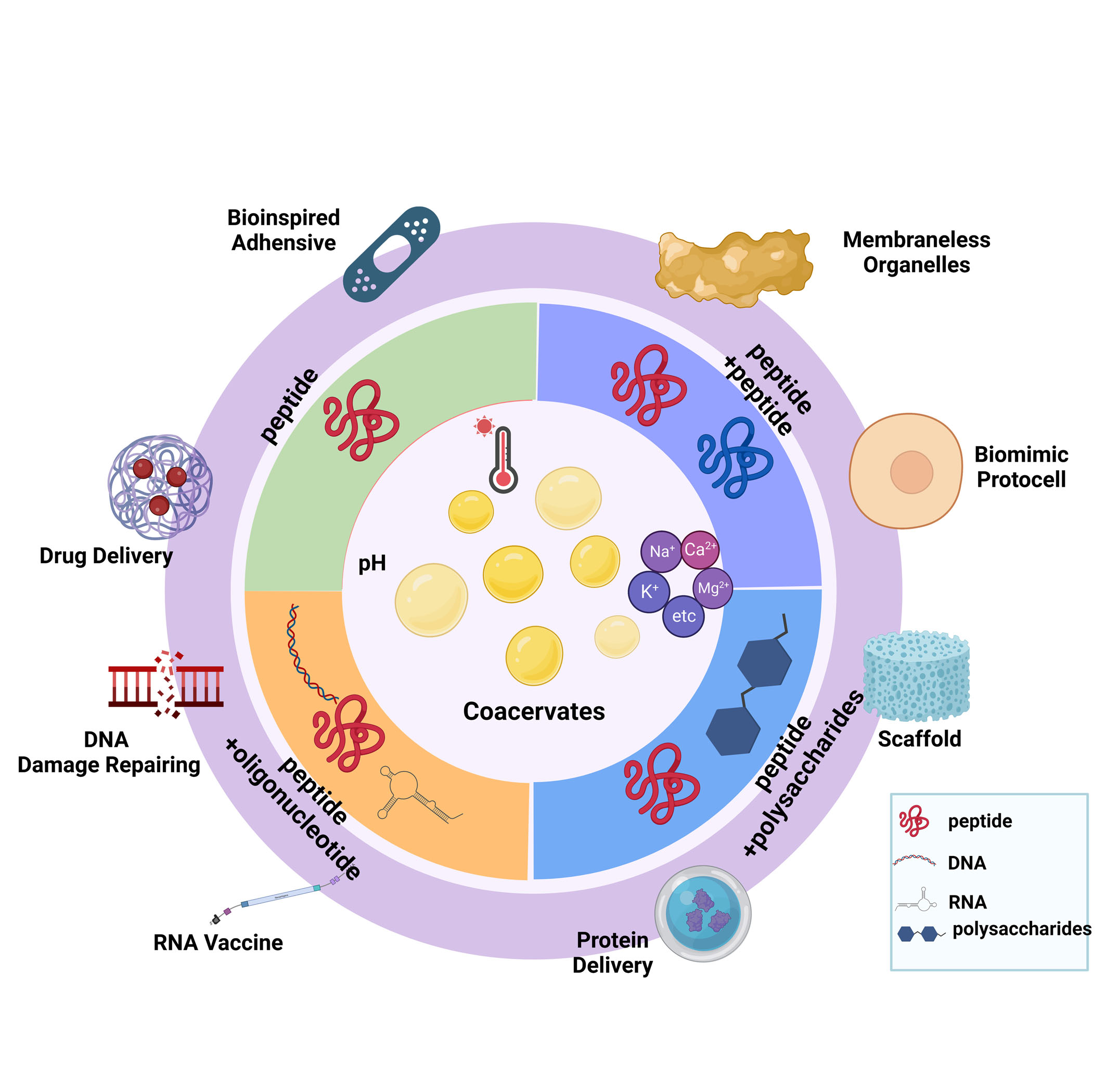 2023-1-4 恭喜马丽露丝老师的综述性文章在Frontiers in Bioen...